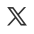 network_icon